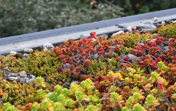 the cost of Fordwater green roof installation
