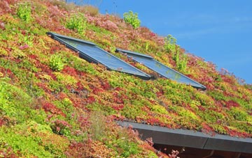 Fordwater living roof systems