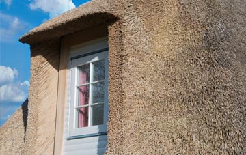 Fordwater thatch roof disadvantages